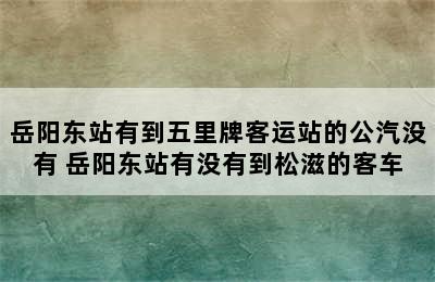 岳阳东站有到五里牌客运站的公汽没有 岳阳东站有没有到松滋的客车